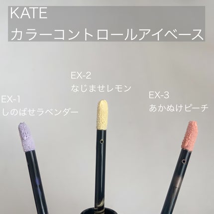 ケイト カラーコントロールアイベース/KATE/アイシャドウベースを使ったクチコミ(2枚目)