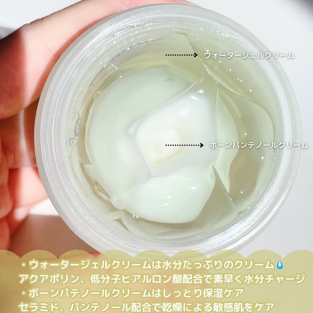 ボーンパンテノールマイレシピクリーム/SAM'U/フェイスクリームを使ったクチコミ(3枚目)