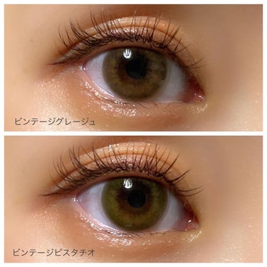 Angelcolor Bambi Series Vintage 1day/AngelColor/ワンデー（１DAY）カラコンを使ったクチコミ（3枚目）