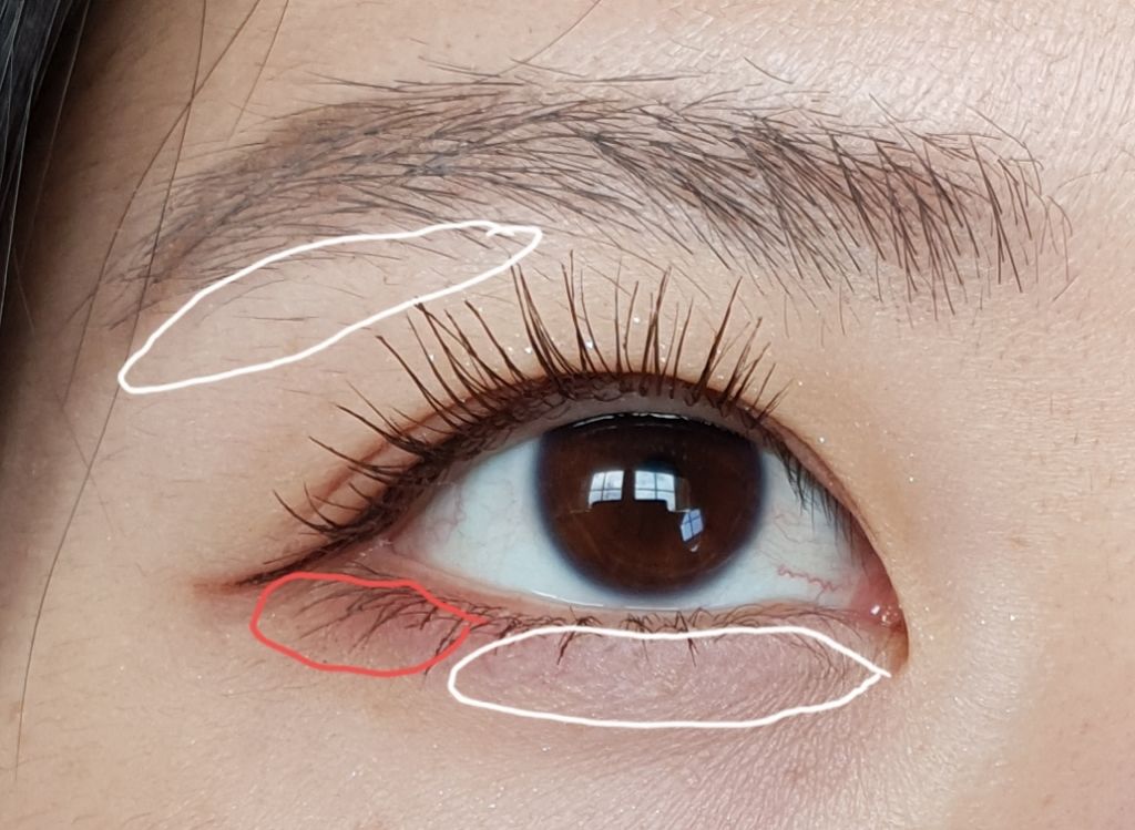 シャインオン/ロレアル パリ/口紅を使ったクチコミ（1枚目）