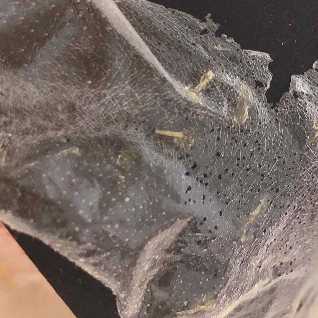 リアルカレンデュラピールオフパック/APRILSKIN/ピーリングを使ったクチコミ(4枚目)