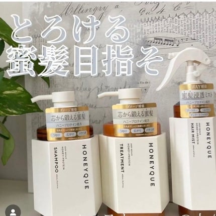 ディープリペア 2WAY ヘアミスト モイスト/ハニーク/ヘアミストを使ったクチコミ(2枚目)