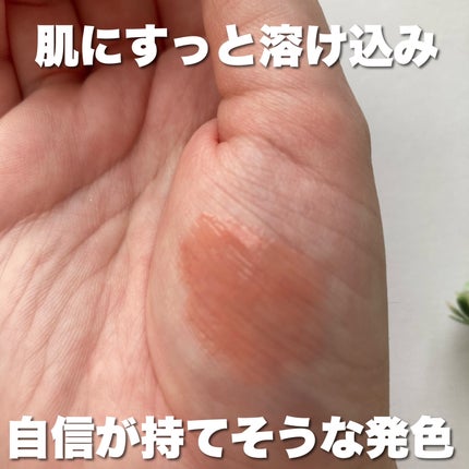 ディオール アディクト リップ マキシマイザー 204 ヌードマニア(スプリング コレクション 2025 限定色)/Dior/リップグロスの画像