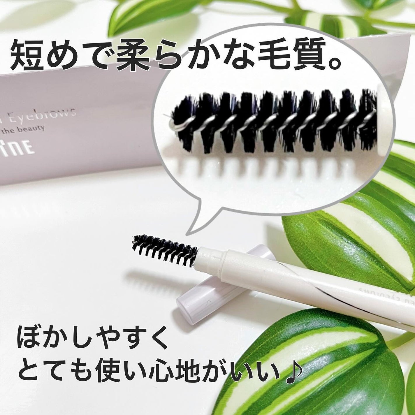 アドバンスト アイブロウ /ACSEINE/アイブロウペンシルを使ったクチコミ(6枚目)