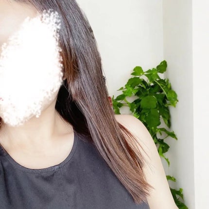 リフレッシュモーメントパフュームシャンプー/トリートメント Jeju Camellia/Free Moment /市販シャンプーを使ったクチコミ(2枚目)