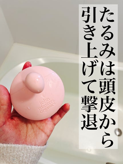 スキャルプシェイクブラシ/john masters organics/スカルプブラシを使ったクチコミ(1枚目)