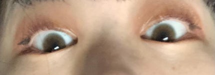 ReVIA 1day/ReVIA/ワンデー(1DAY)カラコンを使ったクチコミ(1枚目)