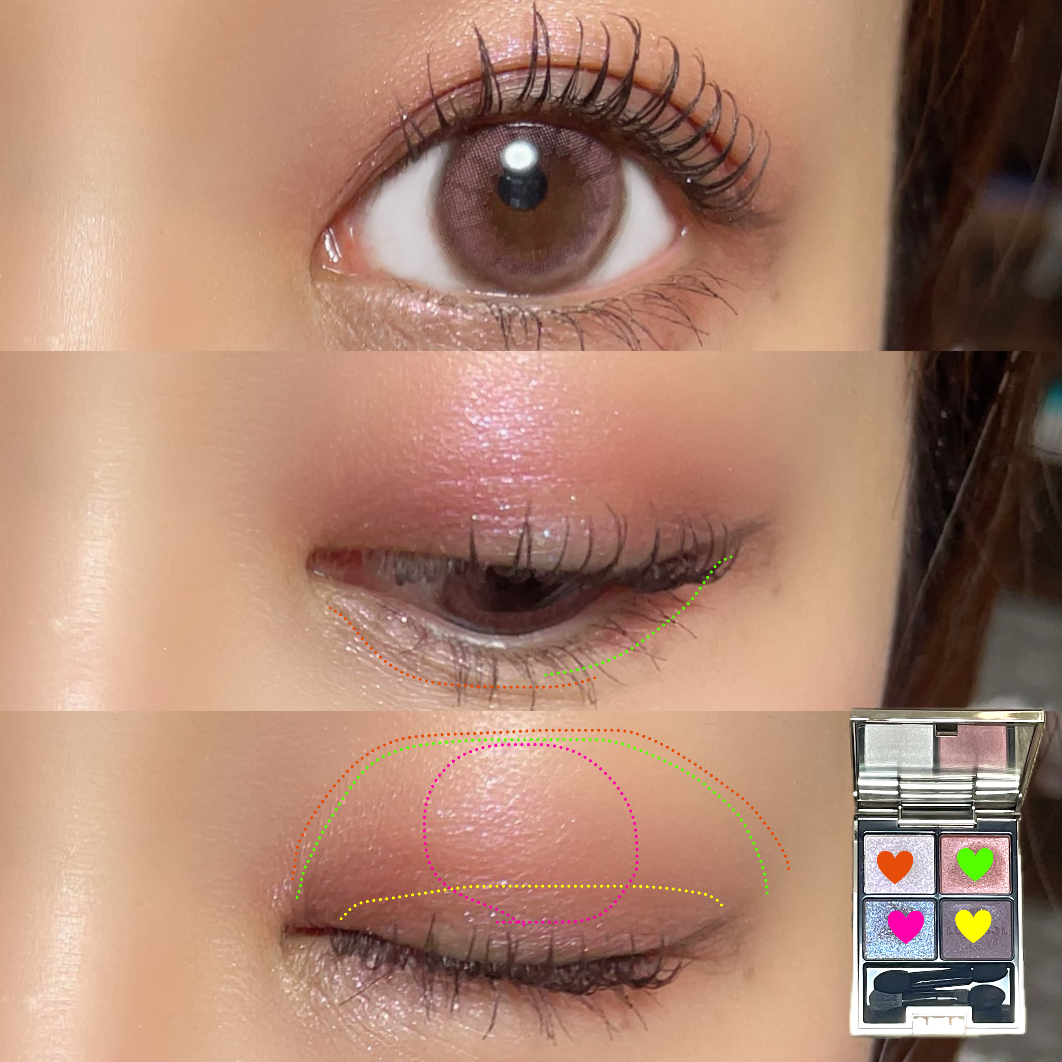 アイカラーレーション/LUNASOL/アイシャドウパレットを使ったクチコミ（2枚目）