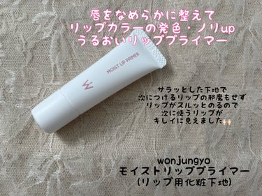 ウォンジョンヨ モイストリッププライマー　/Wonjungyo/リップケア・リップクリームを使ったクチコミ（3枚目）