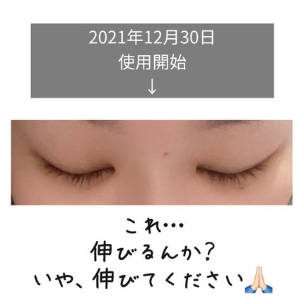 EMAKED(エマーキット)/水橋保寿堂製薬/まつげ美容液を使ったクチコミ(2枚目)