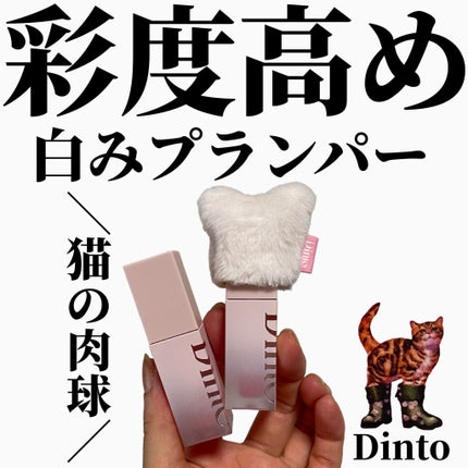 (ル・シャ ボテコレクション)ブラーゼリーボリュームリップティント/Dinto/リップティントを使ったクチコミ(1枚目)