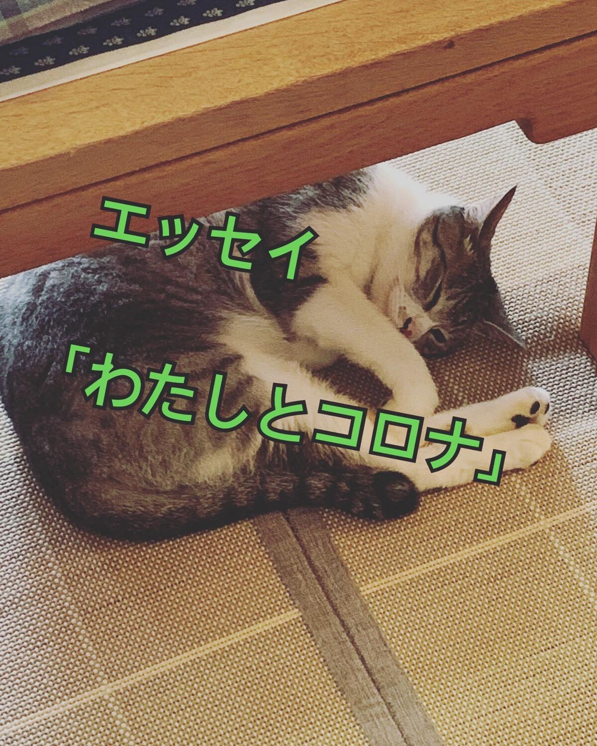 クロミミ on LIPS 「エッセイ・「わたしとコロナ」最近そろそろコロナ禍に終わりが見え..」(1枚目)