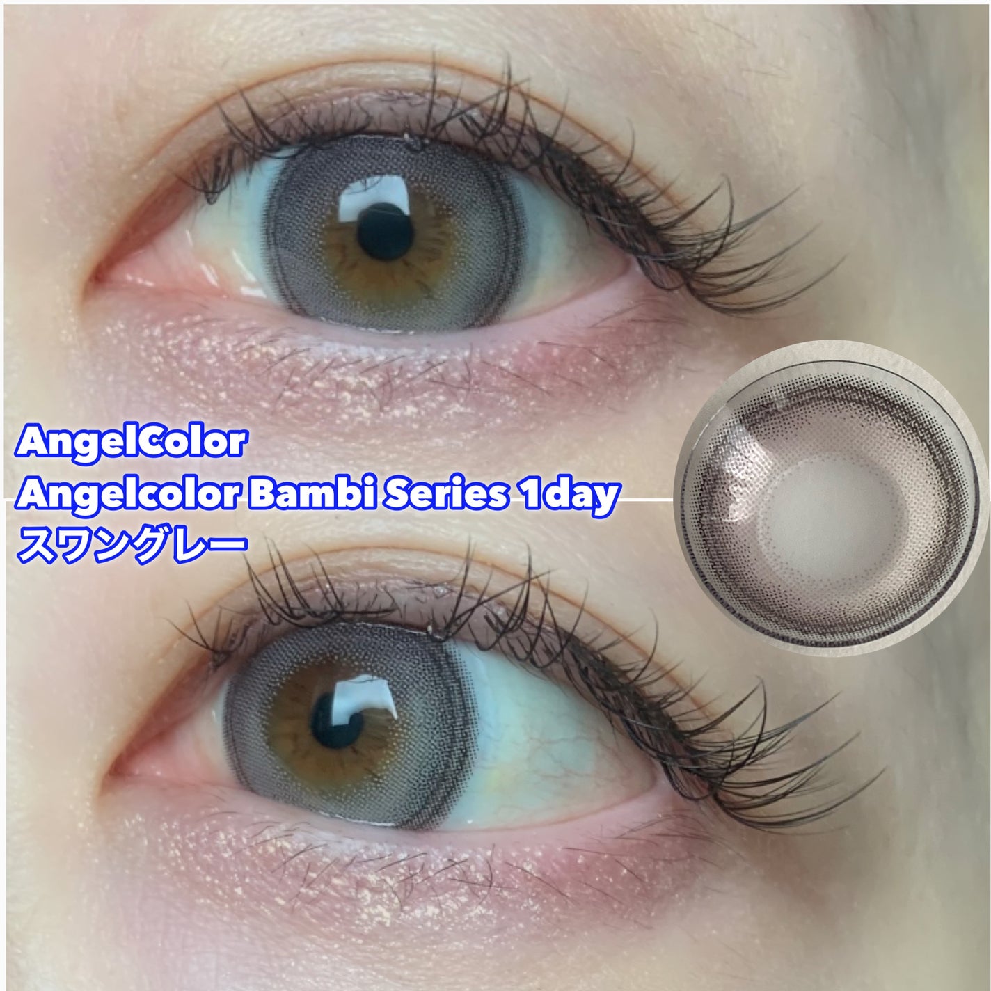 Angelcolor Bambi Series 1day /AngelColor/ワンデー(1DAY)カラコンを使ったクチコミ(4枚目)