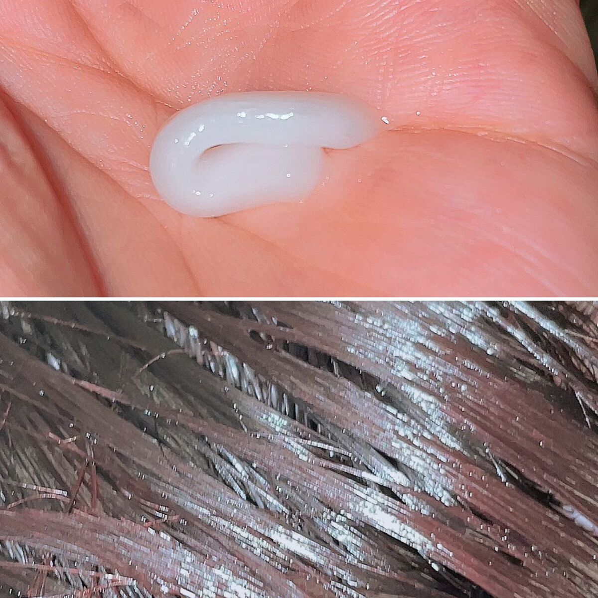 ドリーミー モイスト シャンプー/ヘアトリートメント/THERATIS/市販シャンプーを使ったクチコミ(3枚目)