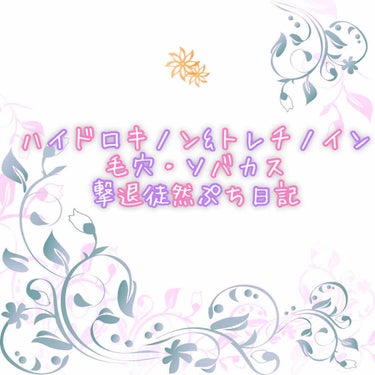 以前レビューしたシミそばかす毛穴対策として購入したハイドロキノン&トレチノインの毎晩塗ってどうかの記録をこの投稿に続けていってみようかと。自分用のメモぺーじ。


変化に興味がある人は暇な時に覗いてみて