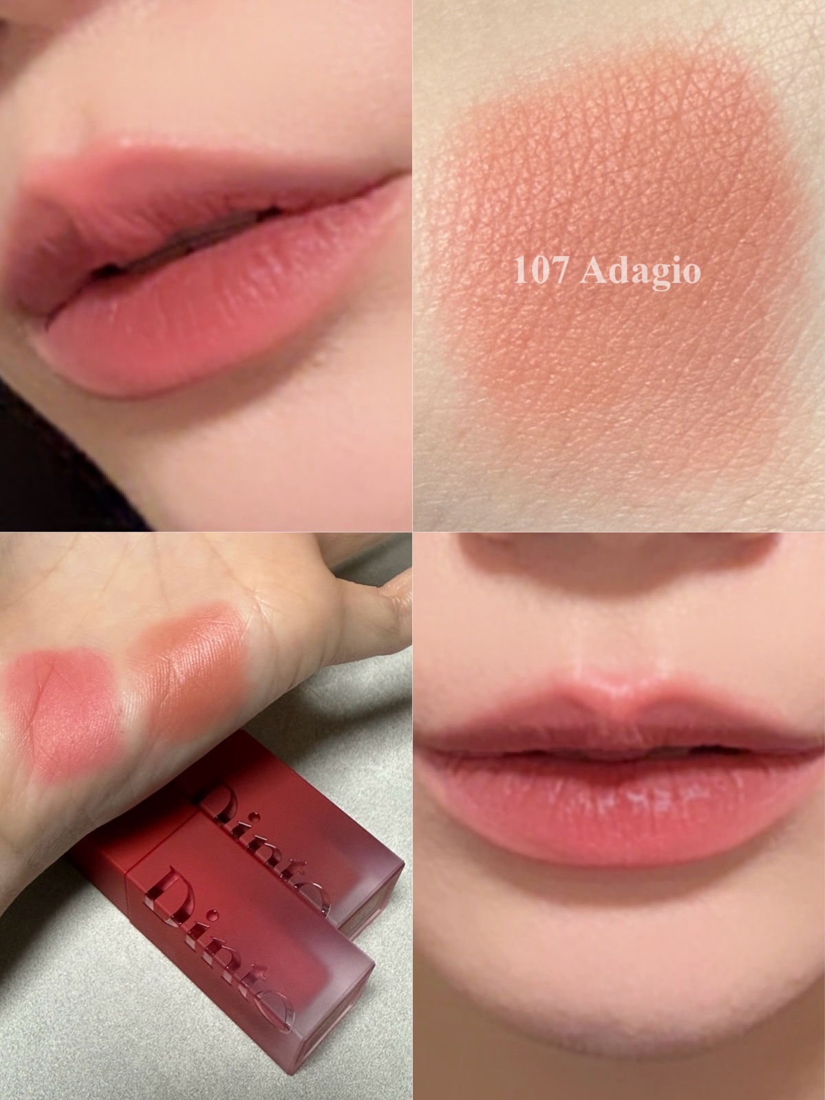 マダムバタフライコレクション ブラーニングリップベール/Dinto/口紅を使ったクチコミ（3枚目）