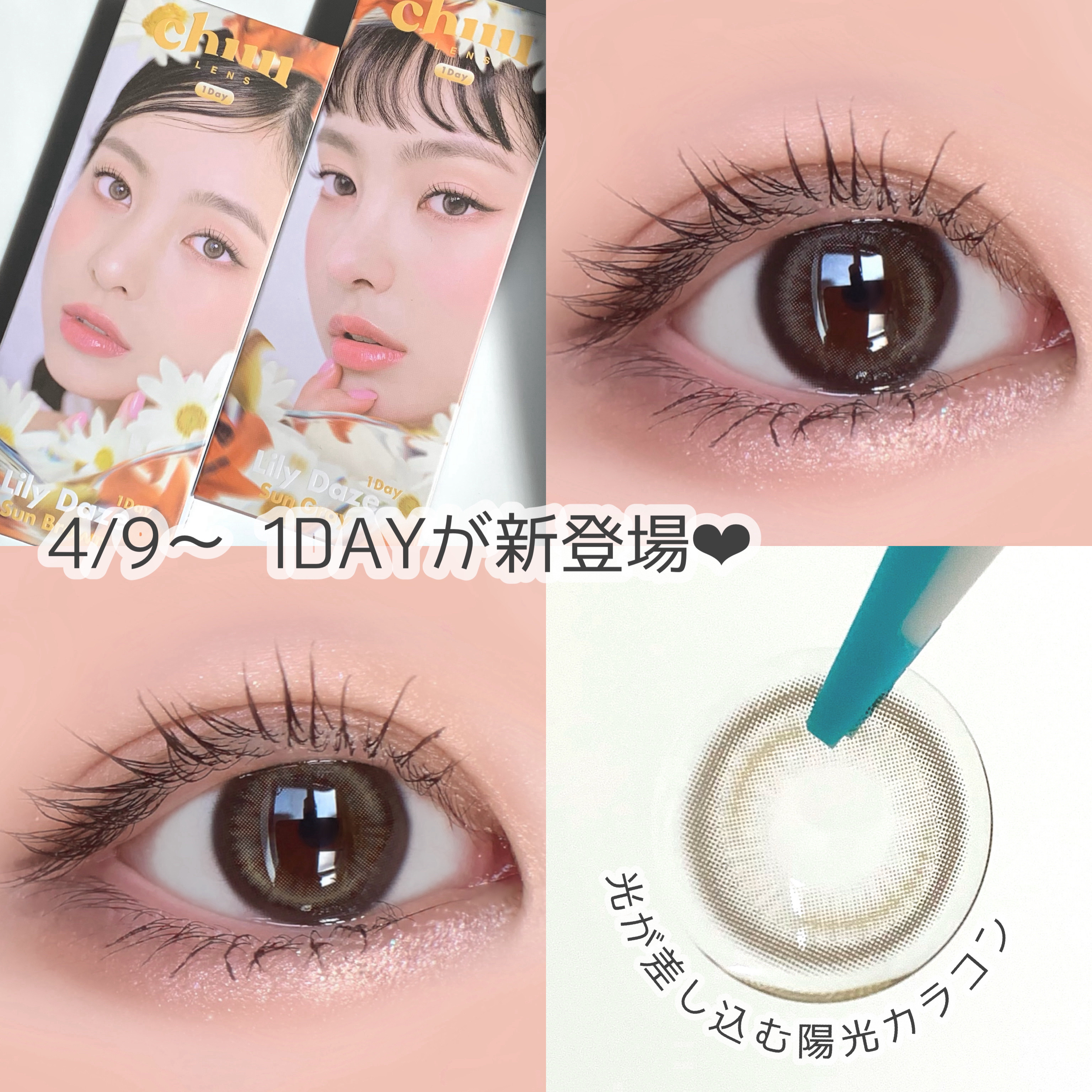 4/9〜 ワンデー新発売♡
光差し込む立体感カラコン "Lily Daze"

【裸眼⇨こげ茶〜黒目の暗めな瞳】
#pan太カラコンレポ　⇦カラコンレポまとめてます！
少しでもカラコン選びの参考になれば嬉しいです🌷

ーーーーーーーー