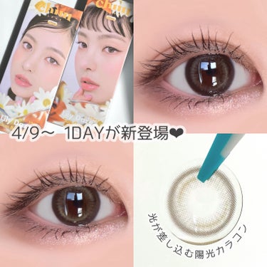 4/9〜 ワンデー新発売♡
光差し込む立体感カラコン "Lily Daze"

【裸眼⇨こげ茶〜黒目の暗めな瞳】
#pan太カラコンレポ　⇦カラコンレポまとめてます！
少しでもカラコン選びの参考にな