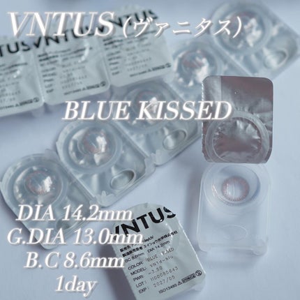 VNTUS 1day/VNTUS/ワンデー(1DAY)カラコンを使ったクチコミ(3枚目)