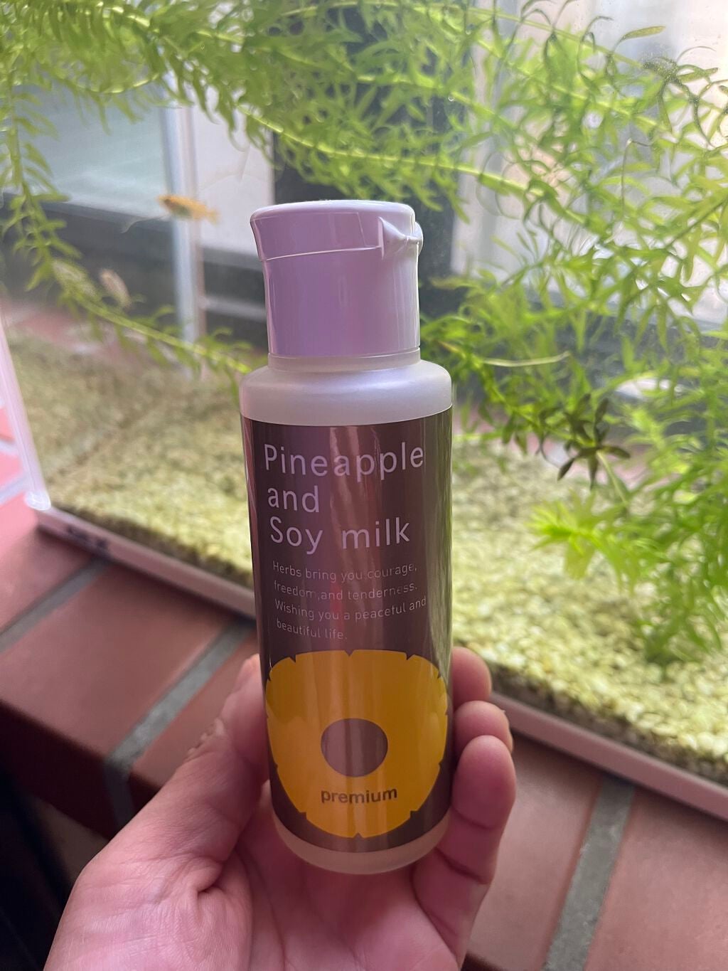 パイナップル豆乳ローションプレミアム/鈴木ハーブ研究所/ボディローションを使ったクチコミ(1枚目)