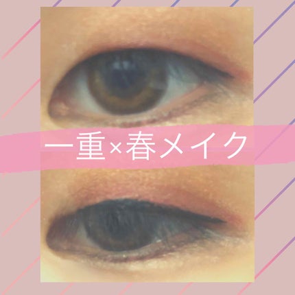 パーフェクトマルチアイズ/キャンメイク/アイシャドウパレットを使ったクチコミ(1枚目)