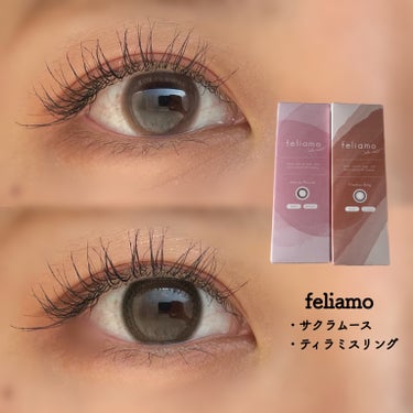 \feliamo 1day 新色2色レビュー/


feliamo史上最大着色直径の13.7mm登場✨✨
　

DIA:14.5mm
着色直径:13.7mm
BC:8.6mm
含水率:55%


・サク