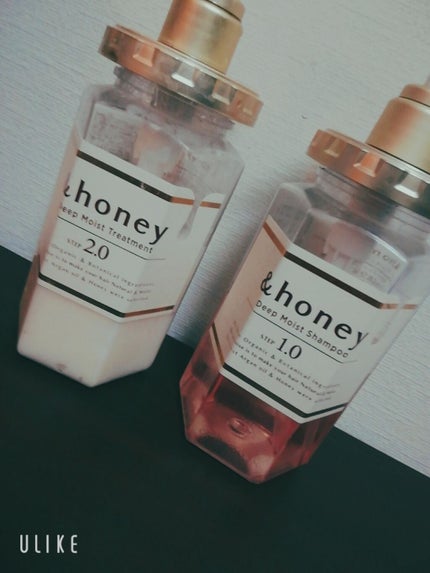 ãã£ãŒãã¢ã€ã¹ã ã·ã£ã³ããŒ1.0ïŒãã¢ããªãŒãã¡ã³ã2.0/&honey/åžè²©ã·ã£ã³ããŒã䜿ã£ãã¯ãã³ãïŒ2æç®ïŒ