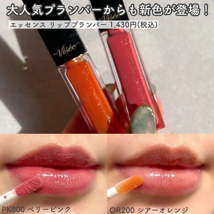 キラー アイ トリオ/Visée/アイシャドウパレットを使ったクチコミ(8枚目)