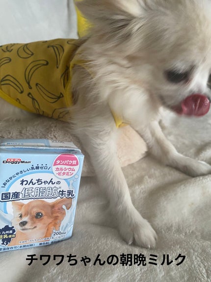 レ キャトル オンブル ツイード/CHANEL/アイシャドウパレットを使ったクチコミ(7枚目)