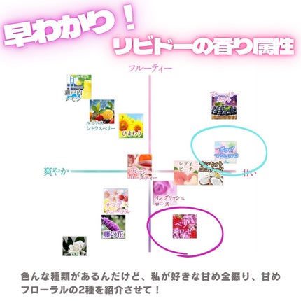 リビドー ベリーロゼ/エルシーラブコスメ/香水(レディース)を使ったクチコミ(3枚目)