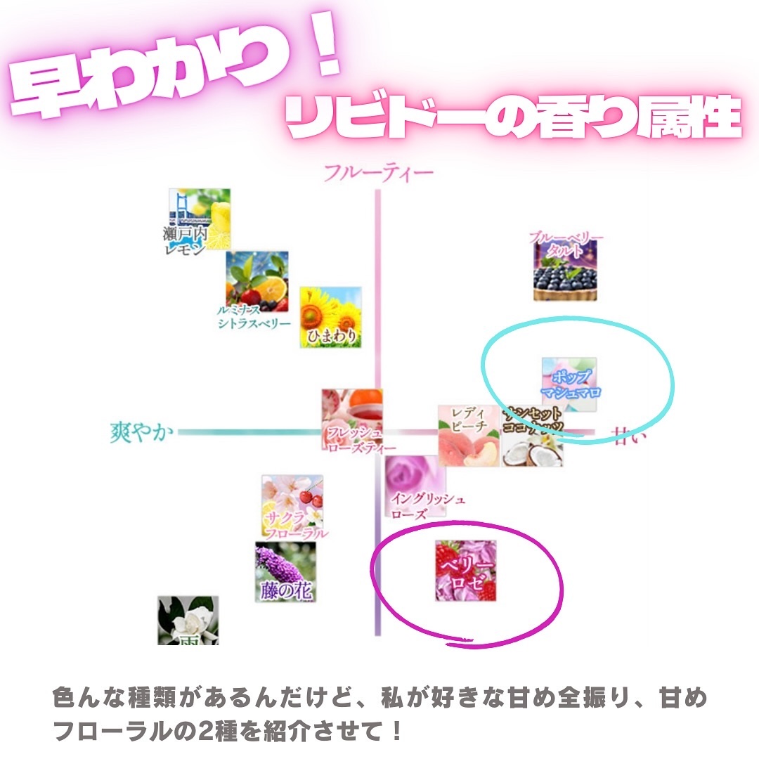 エルシーラブコスメ　リビドー　3種 ラブコスメ リビドー3本セット ジューシーブドウ イチゴ アイラブユー