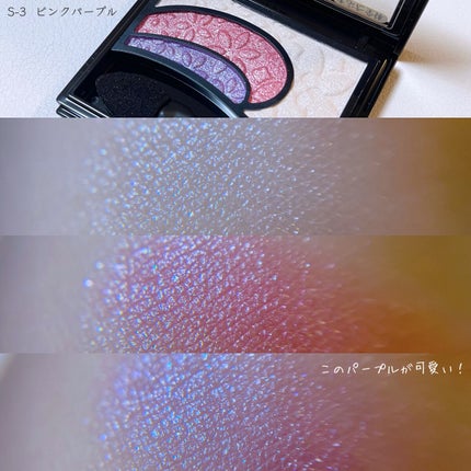 そのまま簡単仕上げ アイカラー/エルシア/アイシャドウパレットを使ったクチコミ(5枚目)