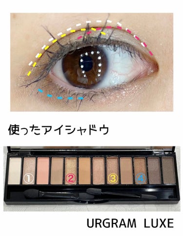 UR GLAM LUXE　12 COLORS EYESHADOW PALLET/U R GLAM/パウダーアイシャドウを使ったクチコミ（2枚目）