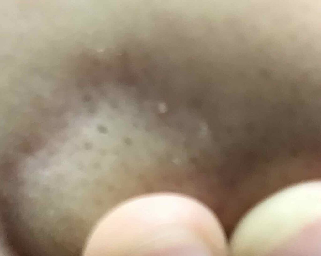 ハトムギ化粧水(ナチュリエ スキンコンディショナー R )/ナチュリエ/化粧水を使ったクチコミ（3枚目）