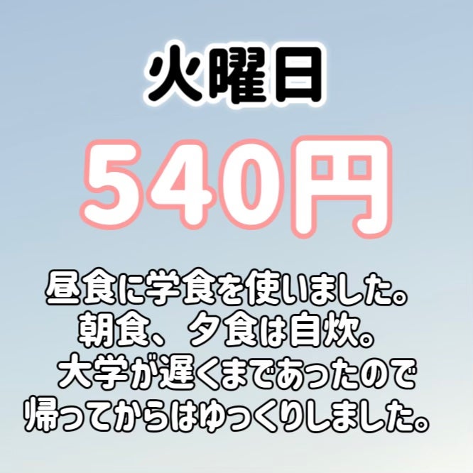 スキニーリッチシャドウ/excel/アイシャドウパレットを使ったクチコミ(4枚目)