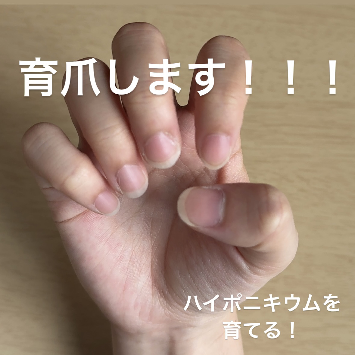 ネイルトリートメントオイル Y/カントリー&ストリーム/ネイルオイル・トリートメントを使ったクチコミ（1枚目）