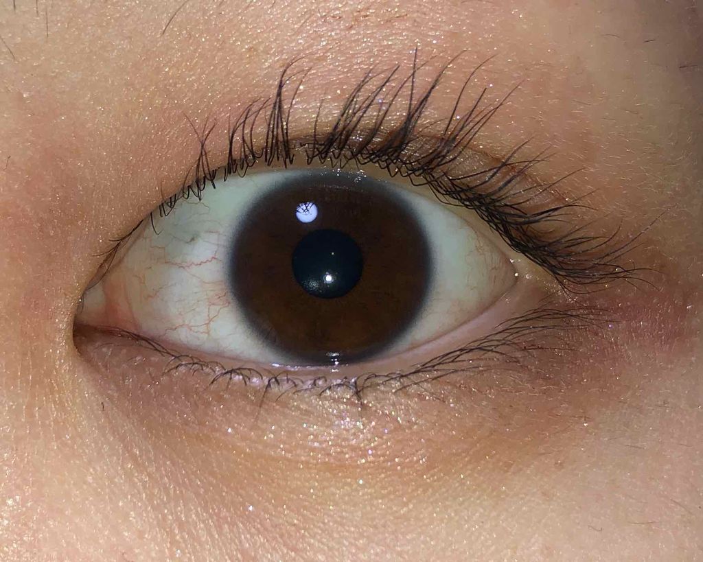 ラッシュジェリードロップ EX/MAJOLICA MAJORCA/まつげ美容液を使ったクチコミ(3枚目)