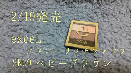 スキニーリッチシャドウ/excel/アイシャドウパレットを使ったクチコミ(1枚目)