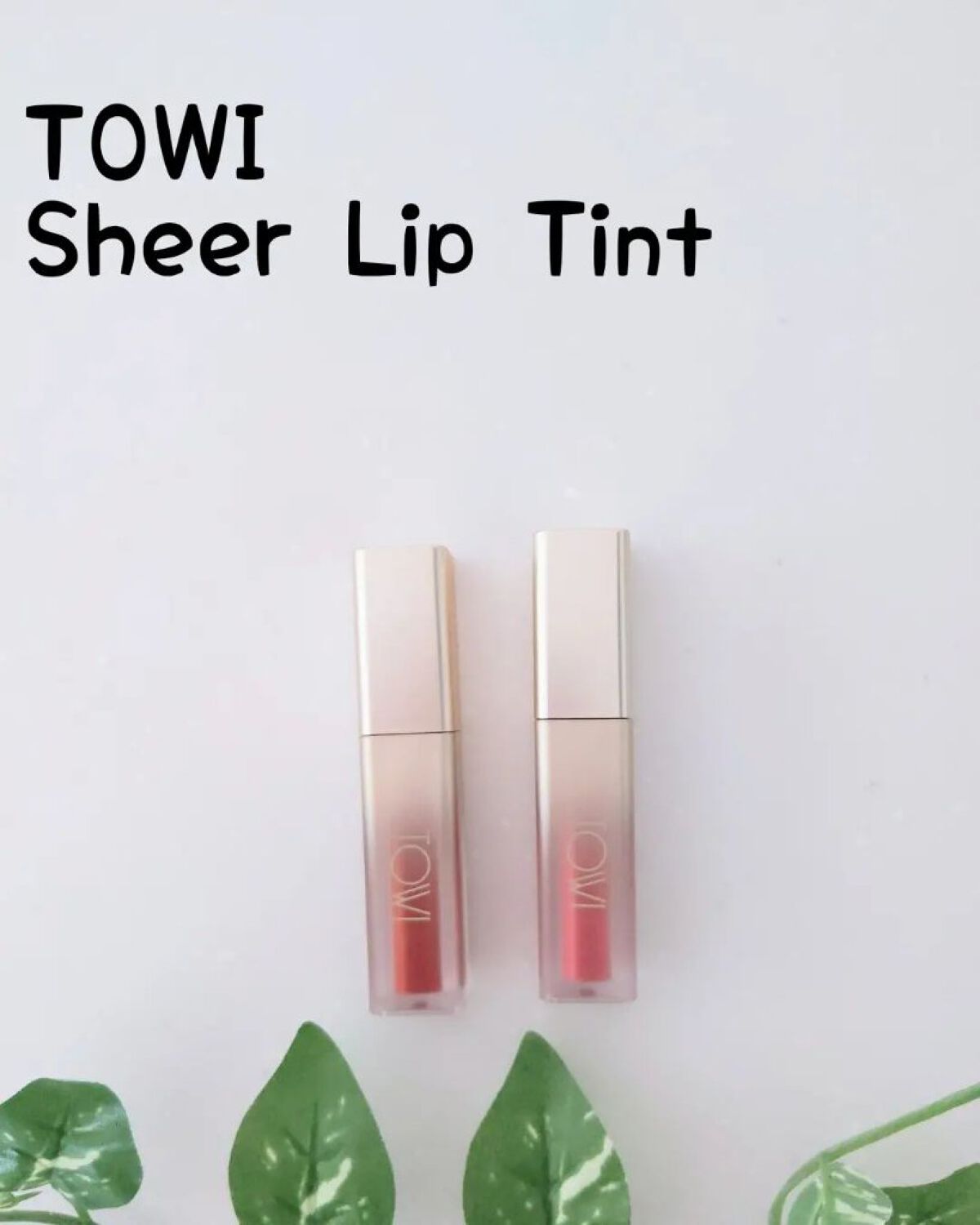 シアーリップティント 01 主人公〈brick red〉/TOWI/リップティントを使ったクチコミ（1枚目）