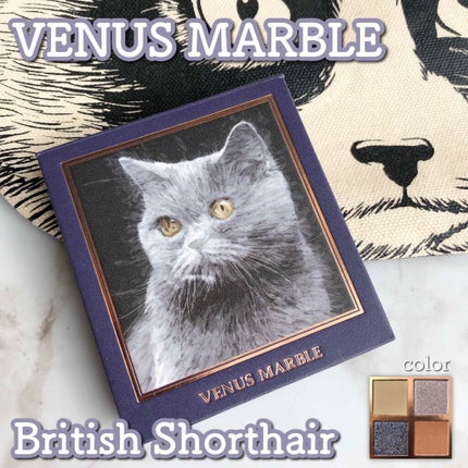 Venus Marble アイシャドウキャットシリーズ/Venus Marble/アイシャドウパレットを使ったクチコミ(1枚目)