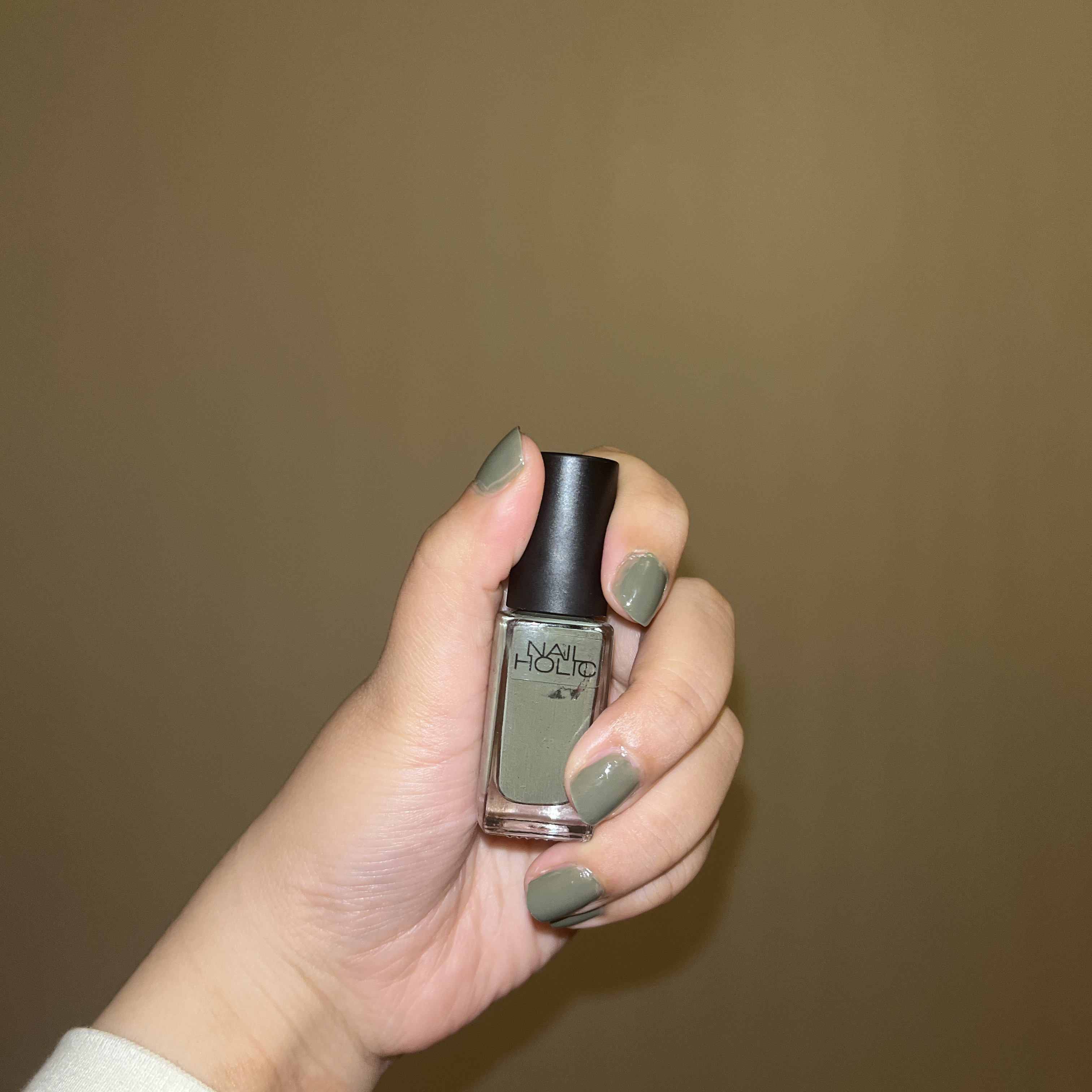 ネイルホリック GR703/ネイルホリック/マニキュアを使ったクチコミ（1枚目）