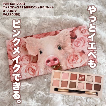 エクスプローラ12色 動物アイシャドウパレット/PERFECT DIARY/アイシャドウパレットを使ったクチコミ(1枚目)