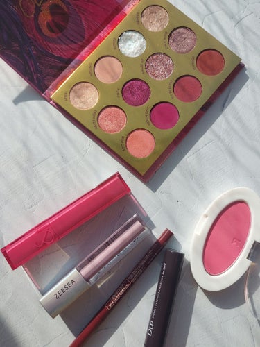 BYE BYE BIRDIE/ColourPop/アイシャドウパレットを使ったクチコミ（1枚目）