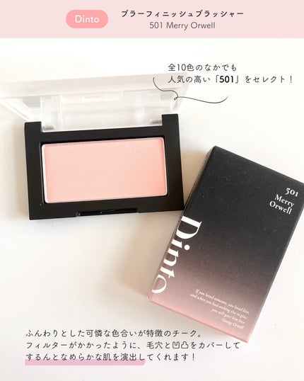 ブラーフィニシュシャドウパレット/Dinto/アイシャドウパレットを使ったクチコミ(5枚目)