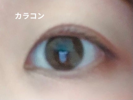 ReVIA 1day/ReVIA/ワンデー(1DAY)カラコンを使ったクチコミ(3枚目)