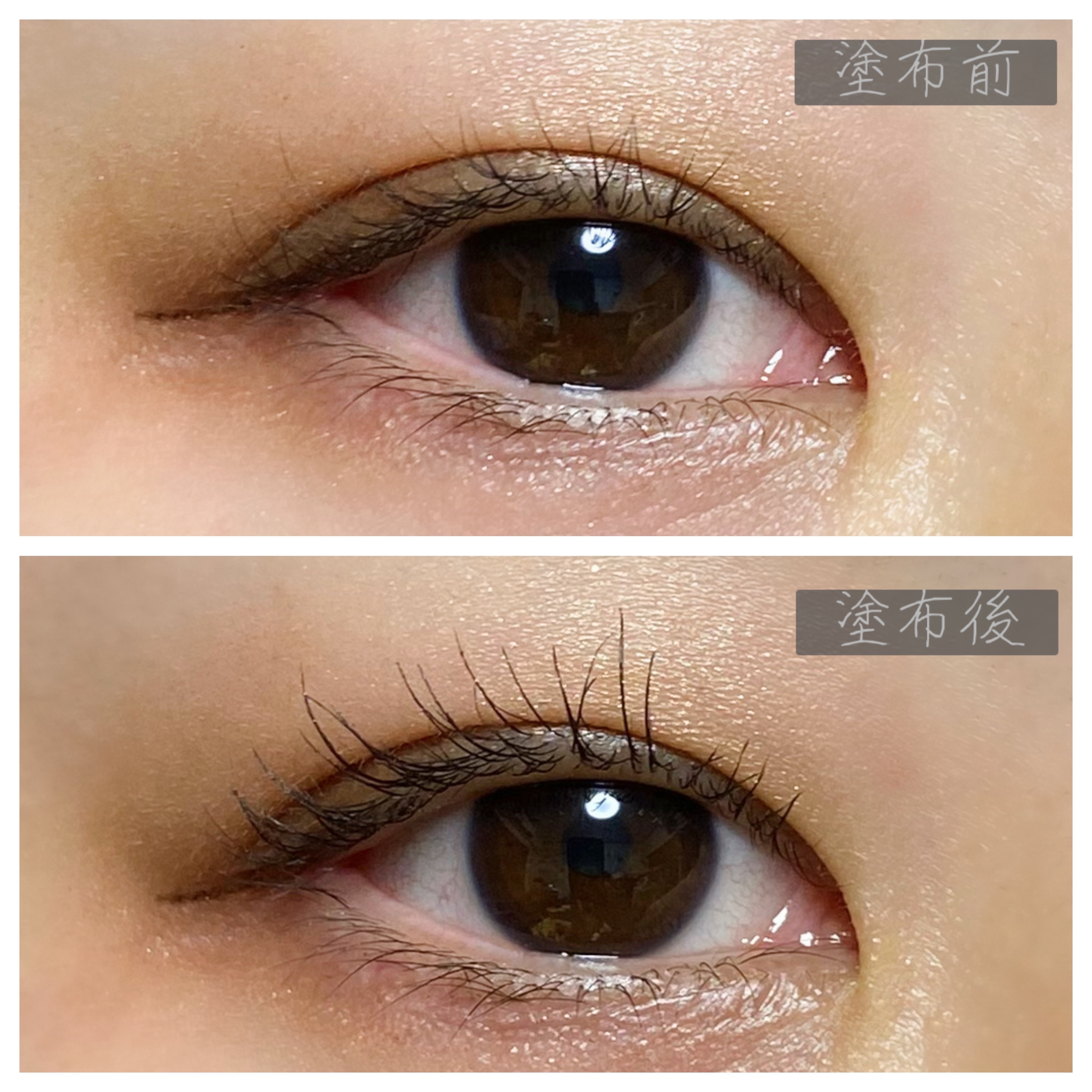 ラッシュフォーマーEX(クリア)/KATE/マスカラを使ったクチコミ（3枚目）