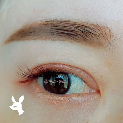 シルキースフレアイズ/キャンメイク/アイシャドウパレットを使ったクチコミ(2枚目)