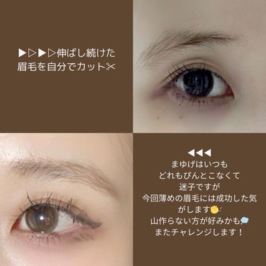 アイブロウシザーズ/SHISEIDO/その他化粧小物の画像