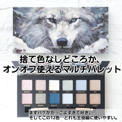 エクスプローラ12色 動物アイシャドウパレット/PERFECT DIARY/アイシャドウパレットを使ったクチコミ(2枚目)