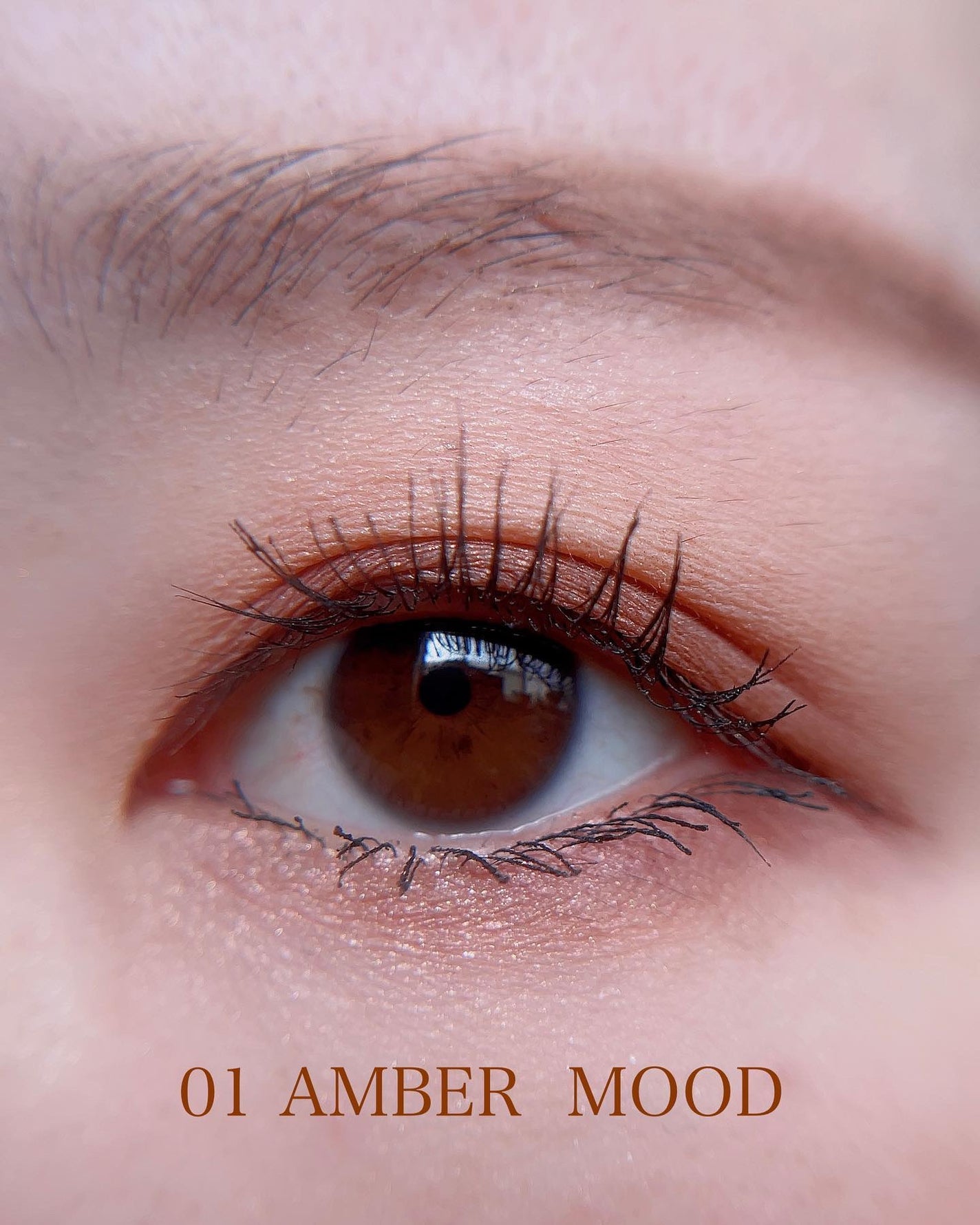 ザ スキン アイシャドウ パレット/perse/アイシャドウパレットを使ったクチコミ(6枚目)